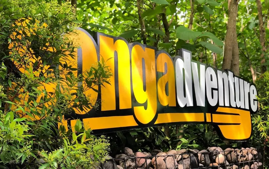 Kenapa Harus Pilih Paket Songa Rafting untuk Liburanmu?